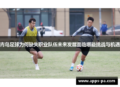 青岛足球为何缺失职业队伍未来发展面临哪些挑战与机遇