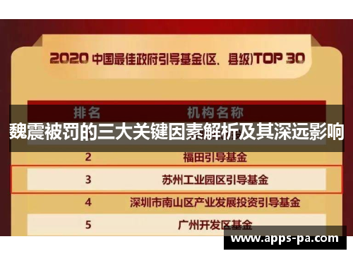 魏震被罚的三大关键因素解析及其深远影响