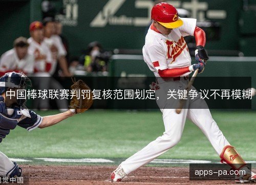 中国棒球联赛判罚复核范围划定，关键争议不再模糊